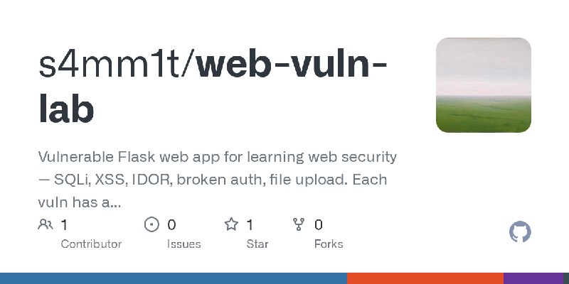 GitHub - s4mm1t/web-vuln-lab: Vulnerable Flask web app for learning web security — SQLi, XSS, IDOR, broken auth, file upload. Each…
