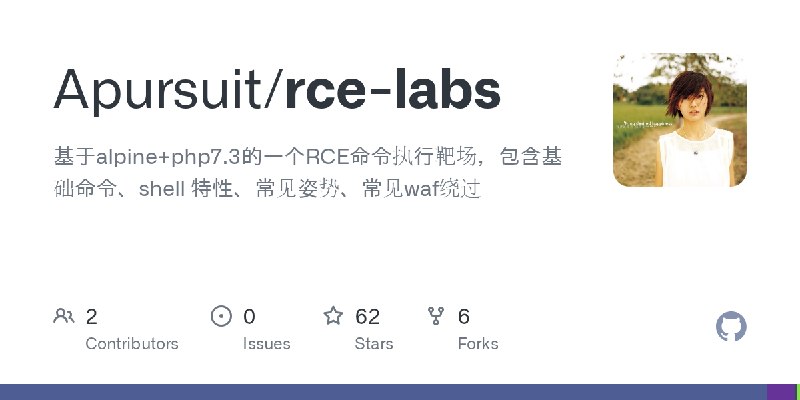 GitHub - Apursuit/rce-labs: 基于alpine+php7.3的一个RCE命令执行靶场，包含基础命令、shell 特性、常见姿势、常见waf绕过