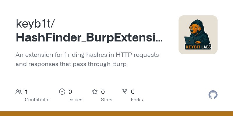GitHub - keyb1t/HashFinder_BurpExtension: An extension for finding hashes in HTTP requests and responses that pass through Burp