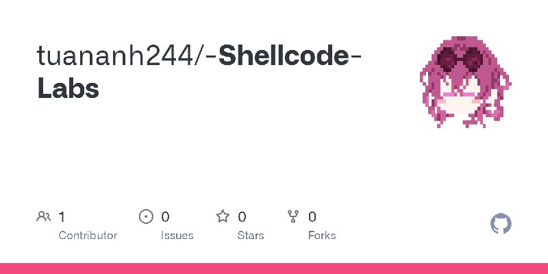 GitHub - tuananh244/-Shellcode-Labs