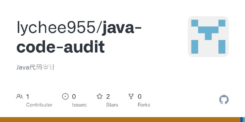GitHub - lychee955/java-code-audit: Java代码审计