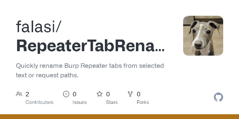 GitHub - falasi/RepeaterTabRenamer: Quickly rename Burp Repeater tabs from selected text or request paths.
