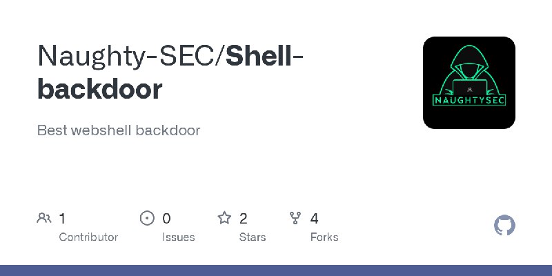GitHub - Naughty-SEC/Shell-backdoor: Best webshell backdoor