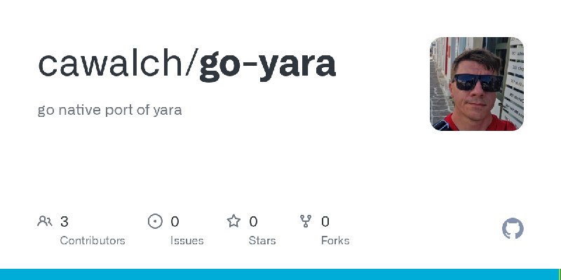 GitHub - cawalch/go-yara: go native port of yara