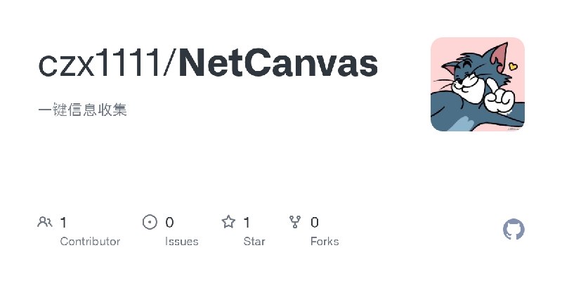 GitHub - czx1111/NetCanvas: 一键信息收集