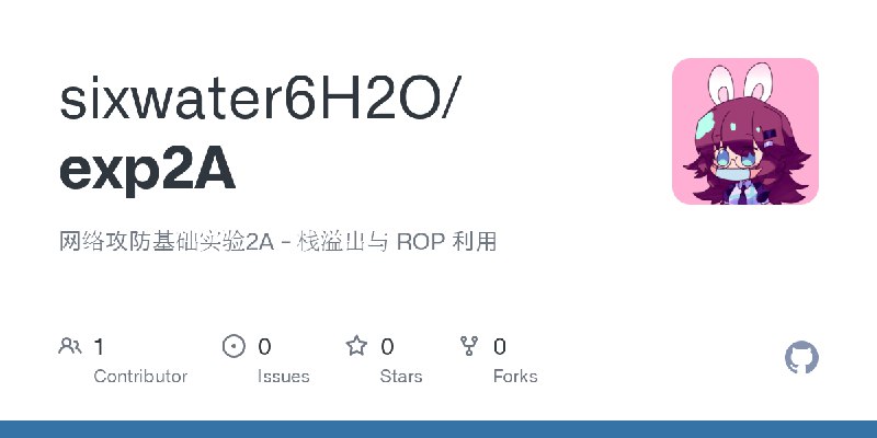 GitHub - sixwater6H2O/exp2A: 网络攻防基础实验2A - 栈溢出与 ROP 利用