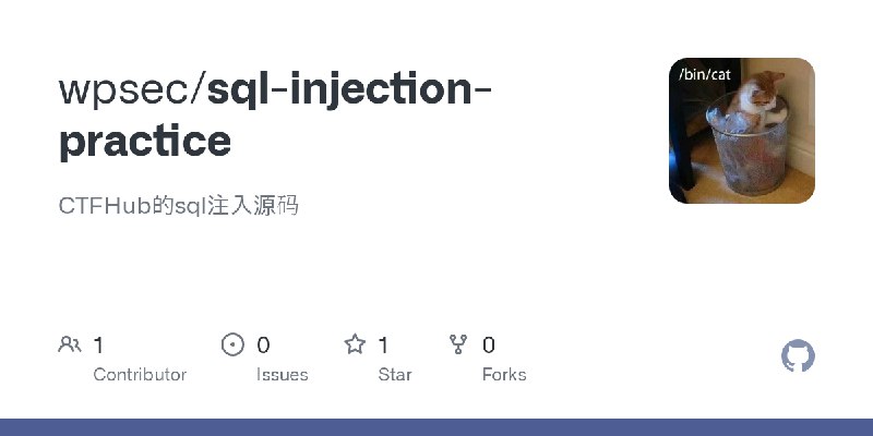 GitHub - wpsec/sql-injection-practice: CTFHub的sql注入源码