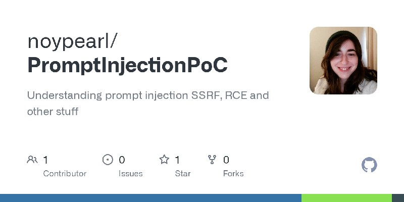 GitHub - noypearl/PromptInjectionPoC: Understanding prompt injection SSRF, RCE and other stuff