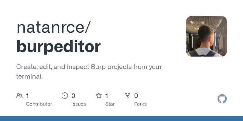 GitHub - natanrce/burpeditor: Create, edit, and inspect Burp projects from your terminal.