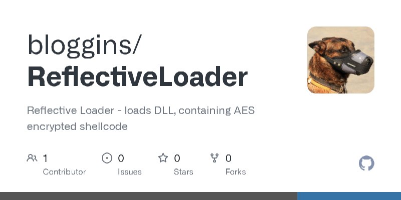 GitHub - bloggins/ReflectiveLoader: Reflective Loader - loads DLL, containing AES encrypted shellcode