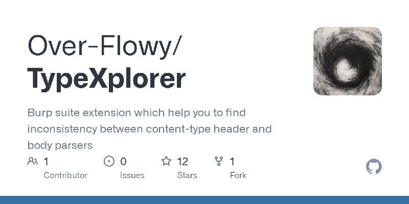 GitHub - Over-Flowy/TypeXplorer: Burp suite extension which help you to find inconsistency between content-type header and body…
