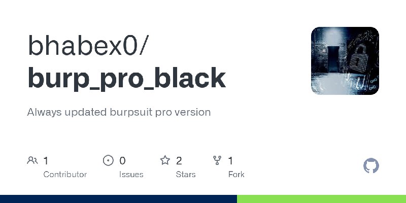 GitHub - bhabex0/burp_pro_black: Always updated burpsuit pro version