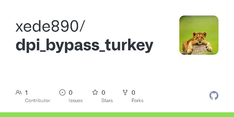 GitHub - xede890/dpi_bypass_turkey
