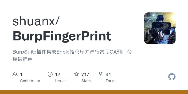 GitHub - shuanx/BurpFingerPrint: BurpSuite插件集成Ehole指纹库并进行常见OA弱口令爆破插件
