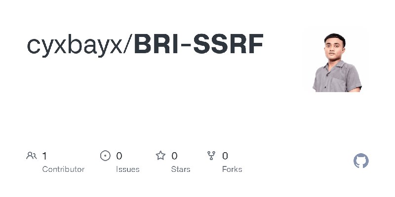 GitHub - cyxbayx/BRI-SSRF