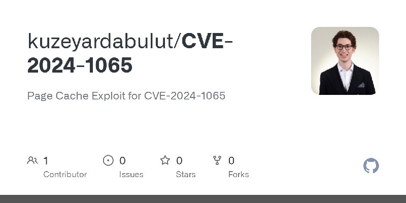 GitHub - kuzeyardabulut/CVE-2024-1065: Page Cache Exploit for CVE-2024-1065