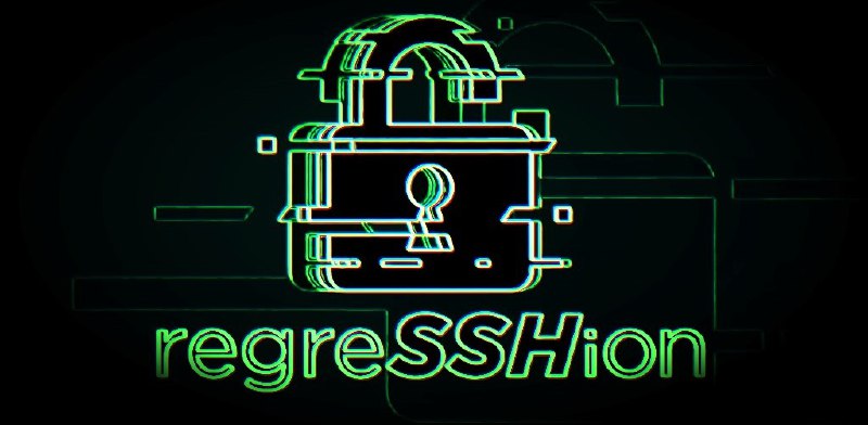 GitHub - l-urk/CVE-2024-6387: Proof of concept python script for regreSSHion exploit.